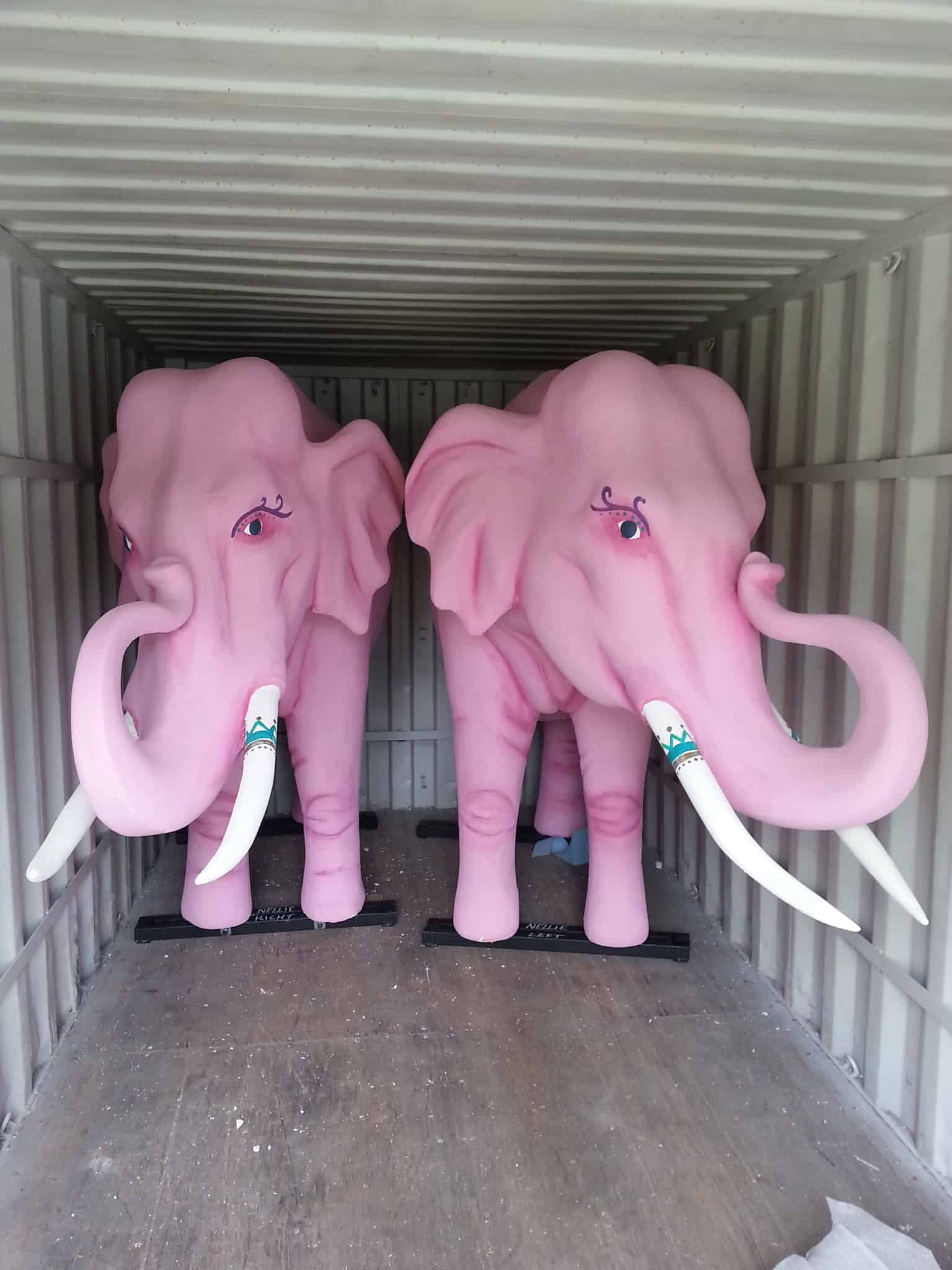 Elephants in container